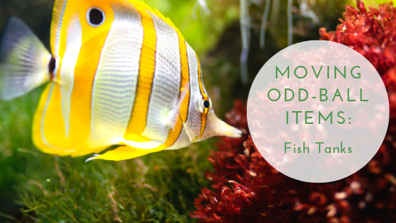Moving Odd Ball Items: Fish Tanks